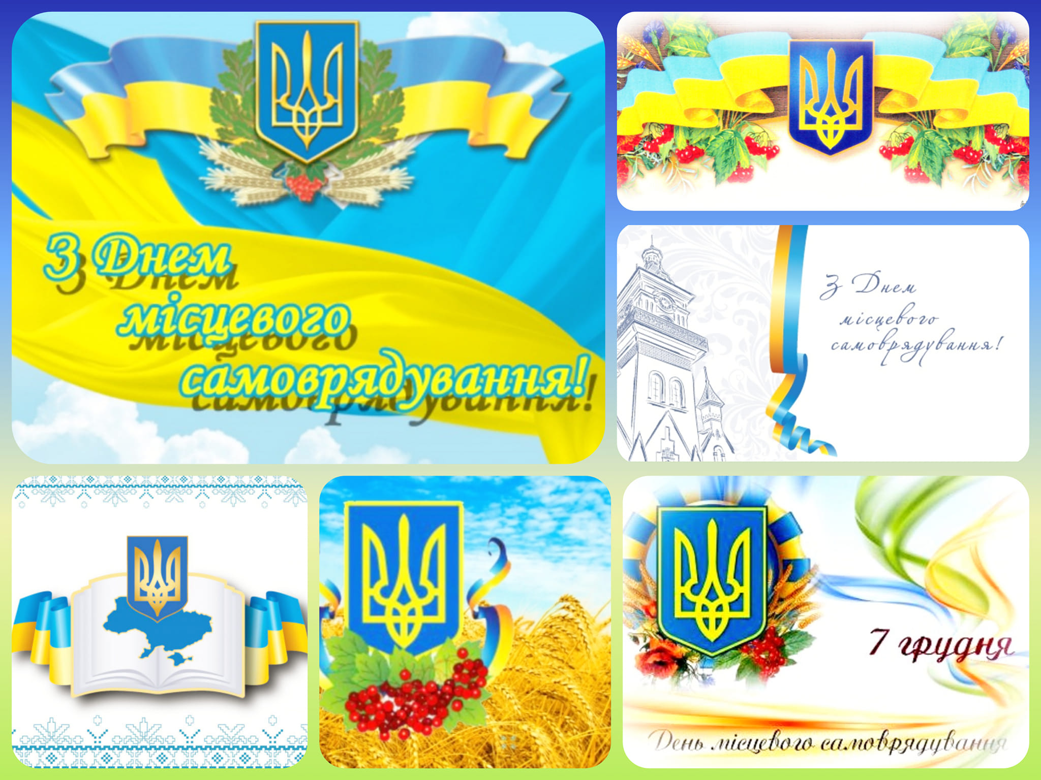 263115931 465820834905098 655799091906051622 n