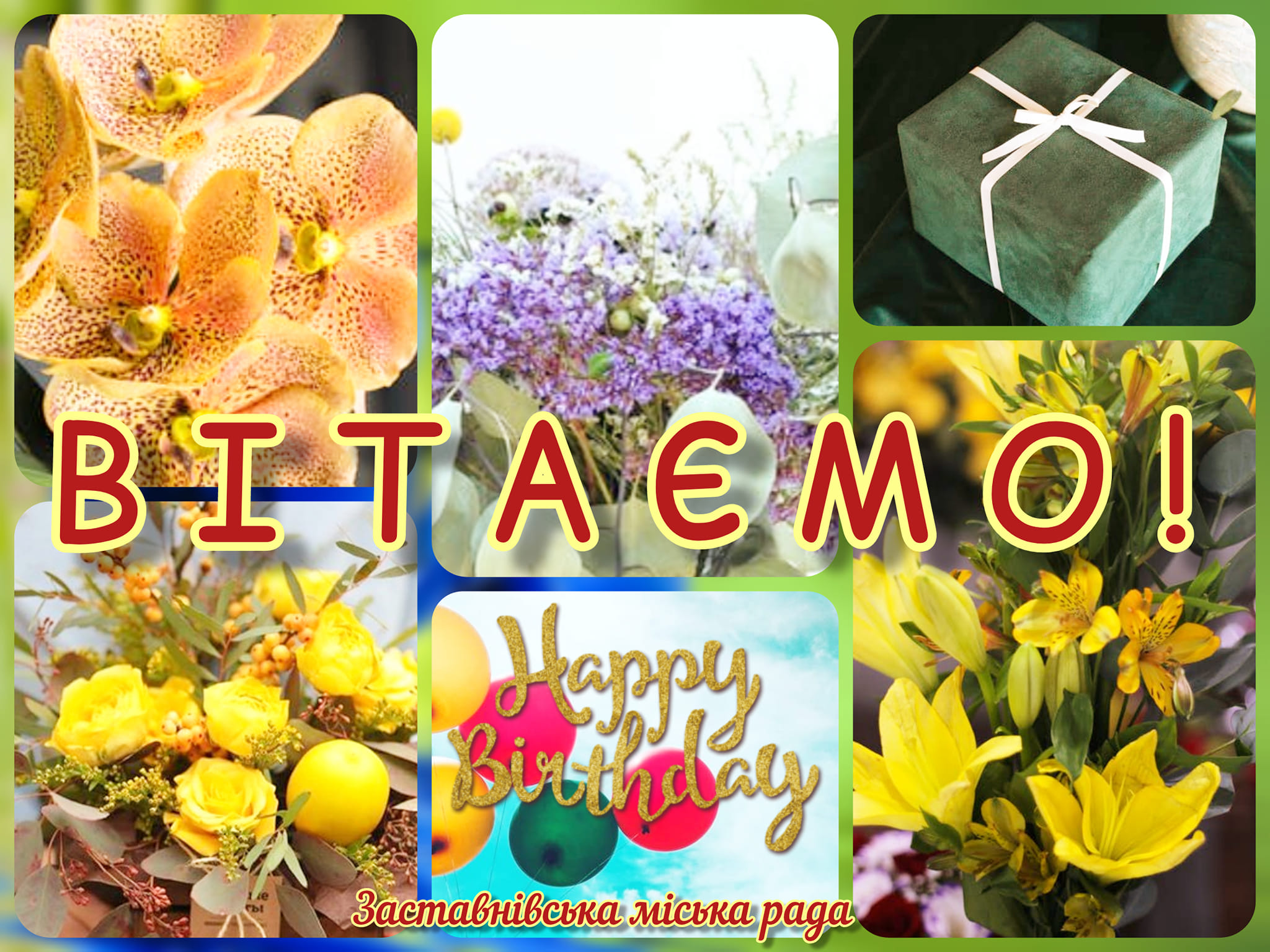 263155383 465832791570569 4630271428548538003 n