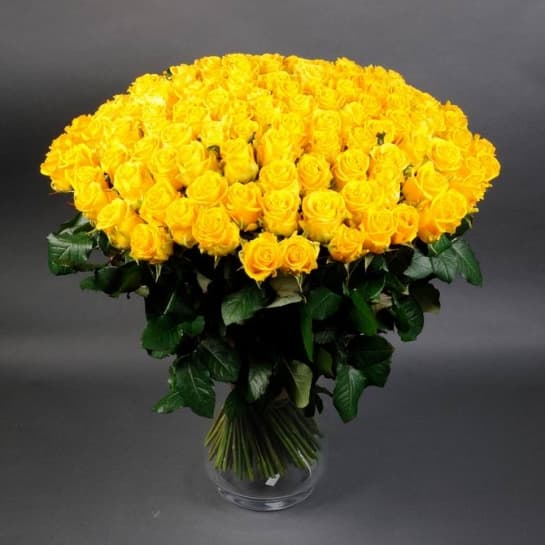 vit_27