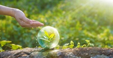 645de2648309f153563962 1