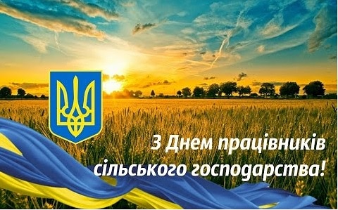 IMG 20211121 131827 222
