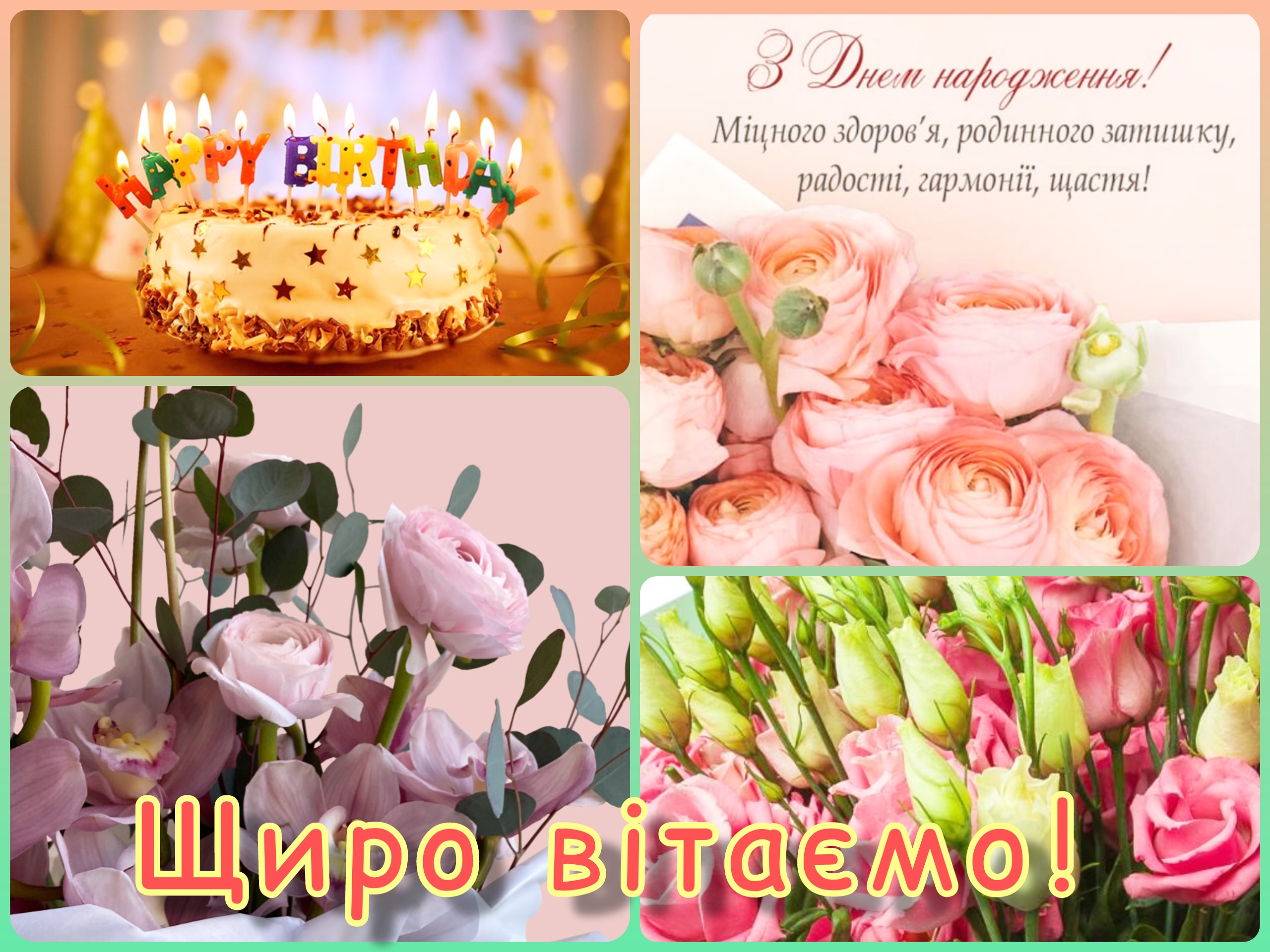 IMG 20220203 113344 932