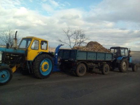 роботи з благоустрою території міста Заставна