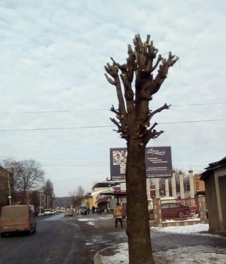 тривають роботи по капітальному ремонту футбольного поля