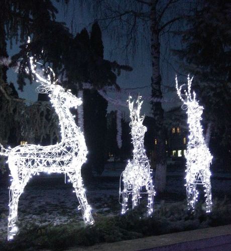 Новорічна ялинка м. Заставна
