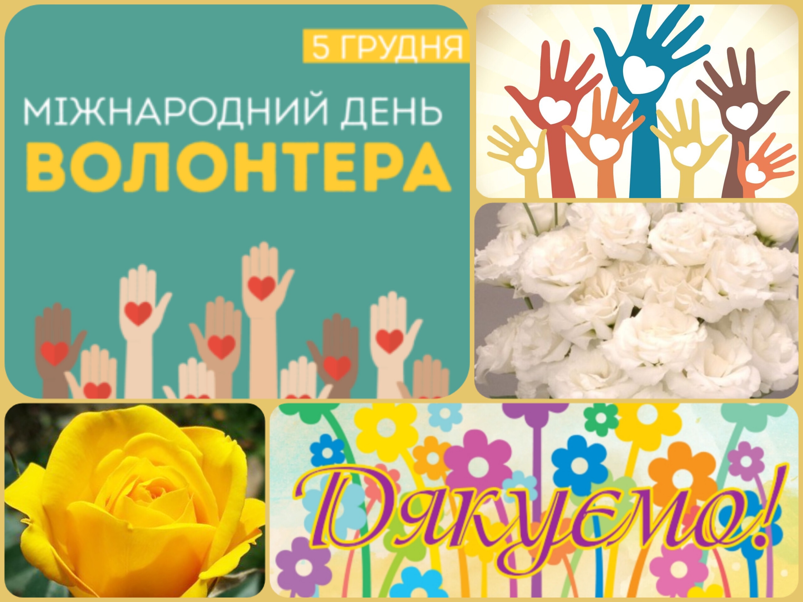 IMG 20221205 103120 336