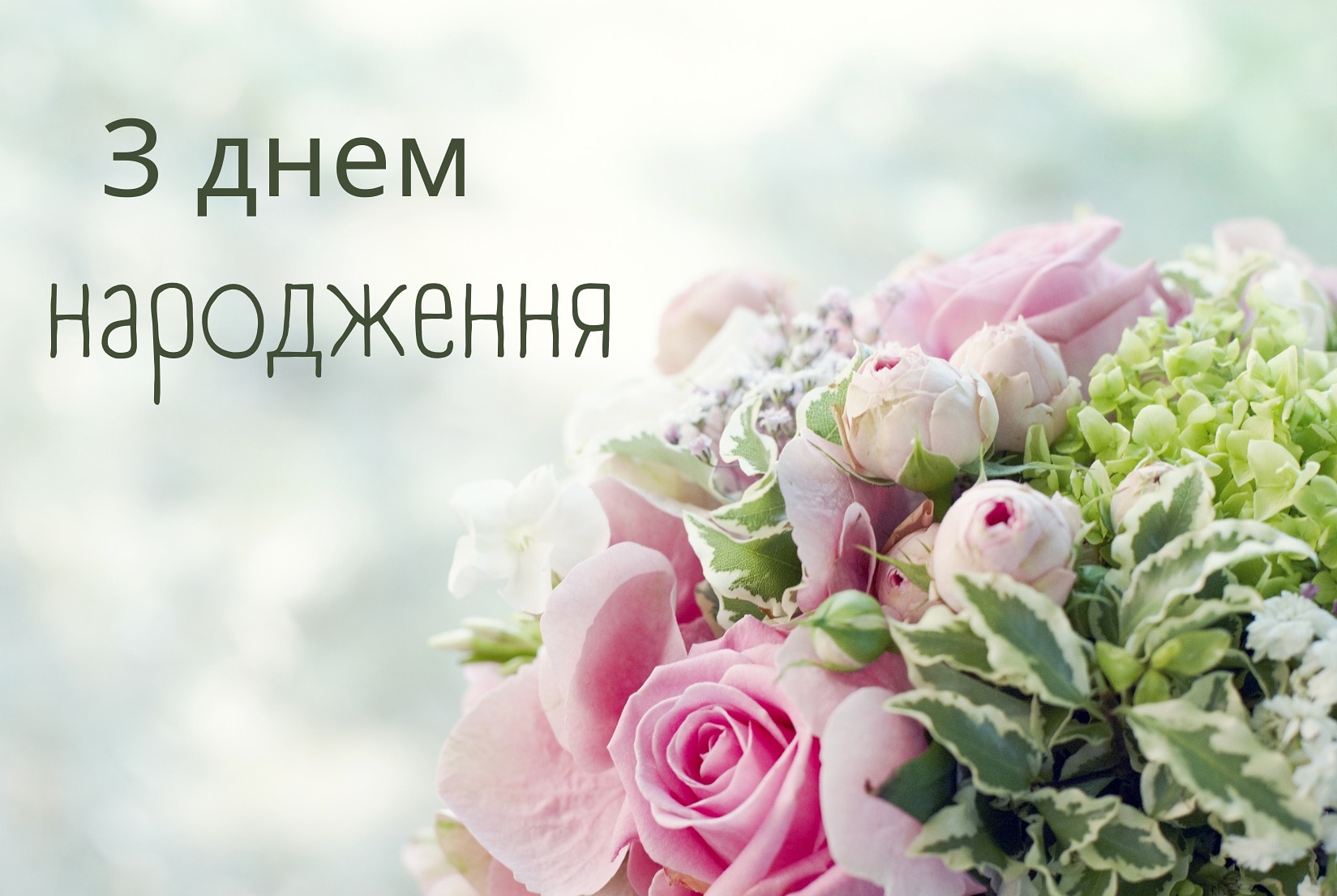 IMG 20230118 114751 426