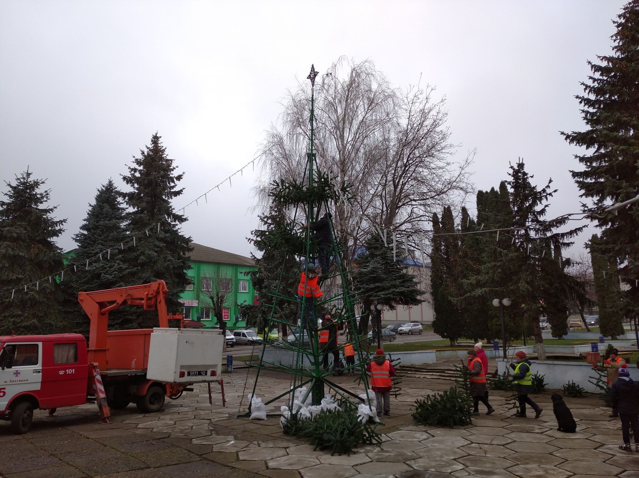 ialynka 14.12.2020 1