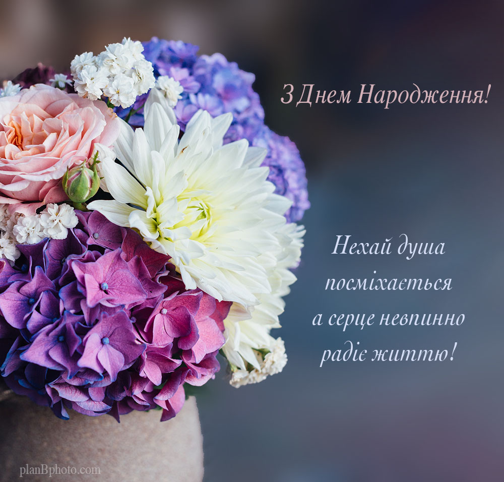 vit 70
