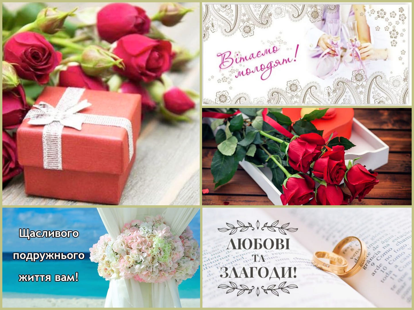 vitannia molodiatam 28.06.2022