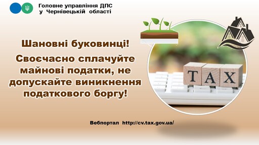 МАЙНОВИ БОРГИ 1