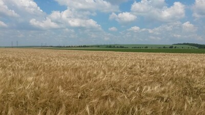 Нові вимоги 1